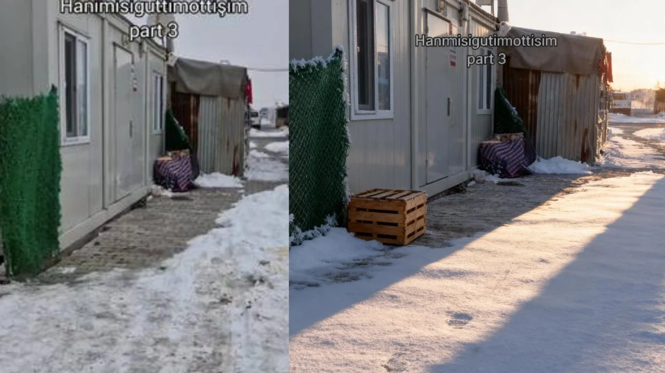 Yoğun istek üzerine geldik! part 3 akdhkd #köpek #kedi #hanimisiguttimottişim"