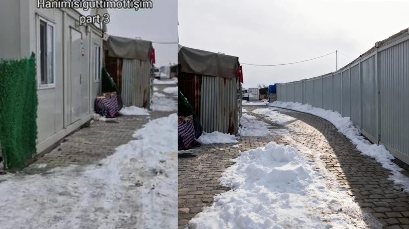 Yoğun istek üzerine geldik! part 3 akdhkd #köpek #kedi #hanimisiguttimottişim"