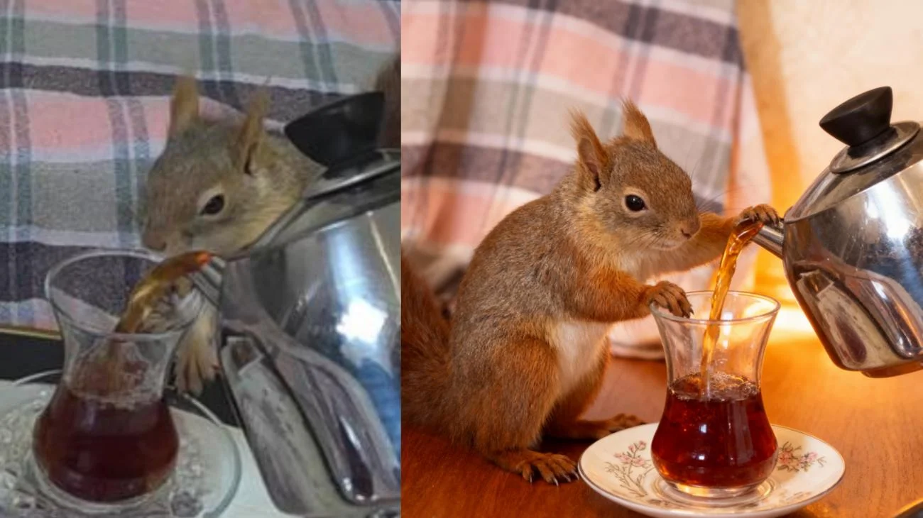 sinco ile çay içiyoruz 🐿🥰"